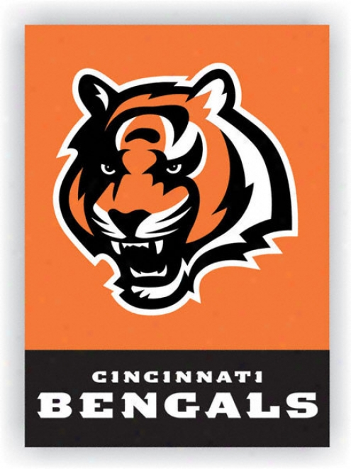 Cincinnari Bengals Double Sided 28x40 Banner