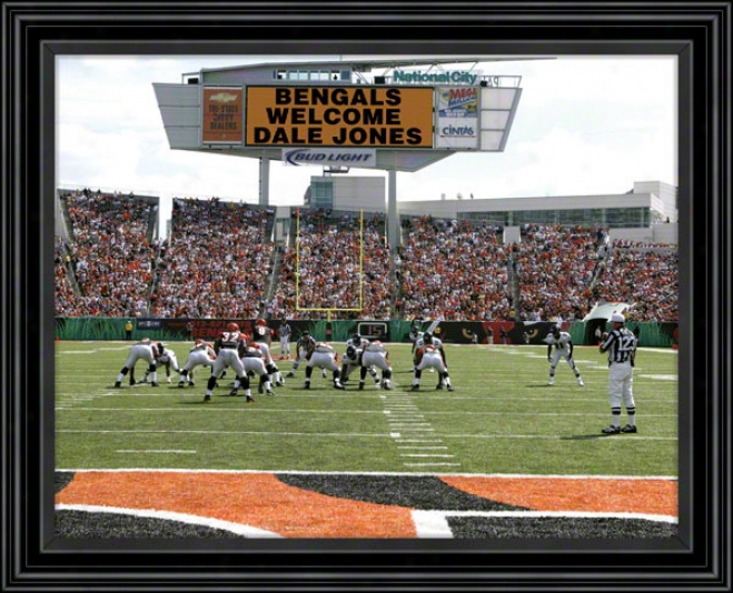 Cincinnati Bengals Scoreboard Memories Customized 11x14 Black Framed Photograph