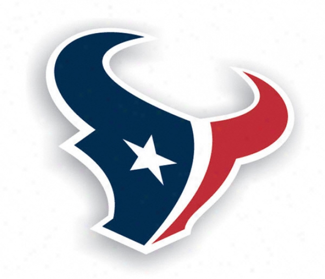 Hiuston Texans 12&quot Vinyl Magnet - Set Of 2