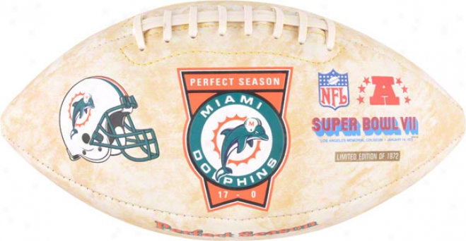 Miami Dolphins Perfect Sesson Foto Fotoball