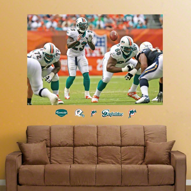 Miami Dolphins &quotthe Wildcat&quot Mural Fathead