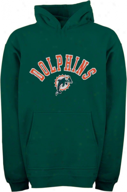 Miami Dolphins Youth Aqua Arched Team Name W/lpgo Hooded Sweatsihrt