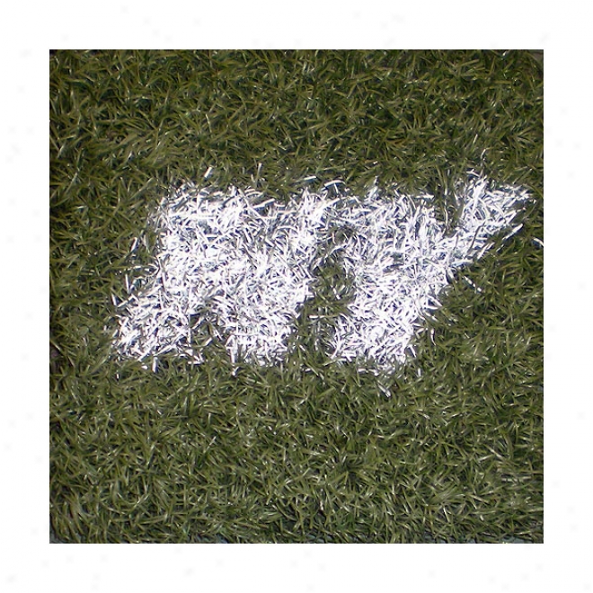 New York Jets Game Used Turf