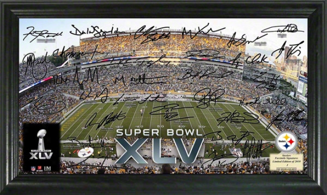 Pittsburgh Steelers Super BowlX lv Signature Gridiron Photo