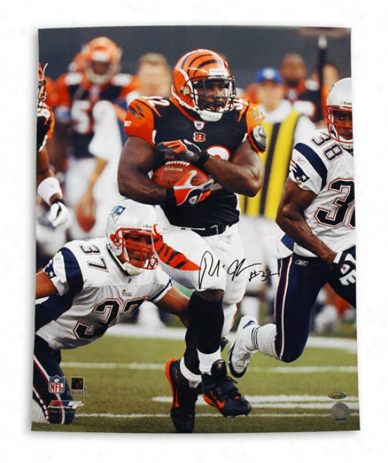 Rudi Johnson Cincinnati Bengals Autographed 16x20 Photograph