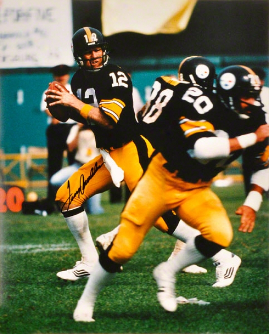 Terry Bradshaw Pittsburgh Steelers -drop Back- 16x20 Autographed Photograph