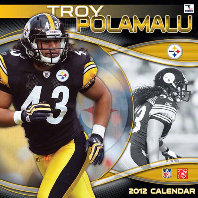 Troy Polamalu Pittsburgh Steelers 2021 Calendar: 12s12 Player Wall Calendar