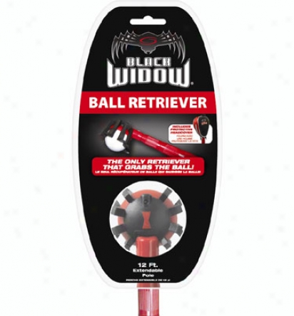 Black Widow Ball Reetriever