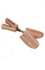 Champ Womens Cedar Shoe Tree With Logo