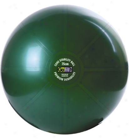 Gofit Ultimate Core Stabioity Ball Kit- 75cm