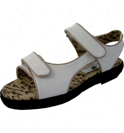 Golfsyream Womens Two Strap Golf Sandals (coffee With Gold Piping)