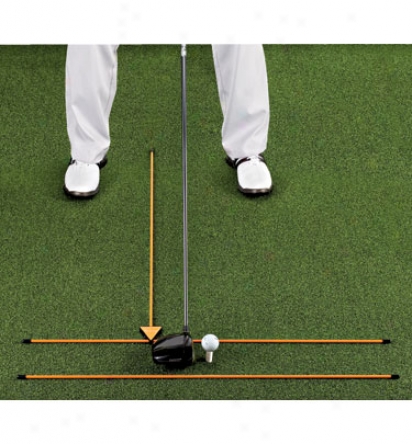 Hank Haney 3-pole Alignment Training System