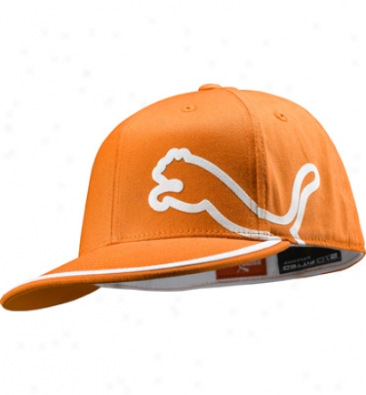 Puma Mens Ricky Fowler 210 Monolinee Flat Brim Cap