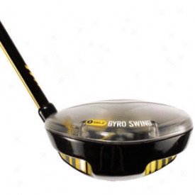 Sklz Gyro Swing