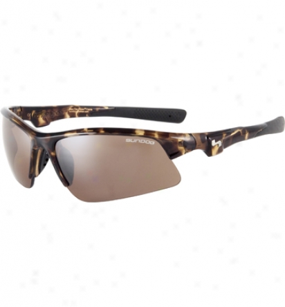 Sundog Zone Sunglasses