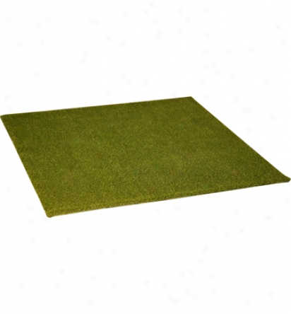 Synlawn Fairway Mat - 4 X 4