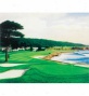 Golf Gifts & Gallery Unframed 17 In.x15 In. Canvas Pebble Beach # 18