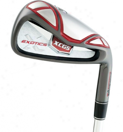 Tour Edge Woman of rank Exotics Xcg5-sw Iron Set Wtih Graphite Shaft