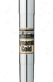 True Temper Dynamic Gold .335 Tip Wood Shaft
