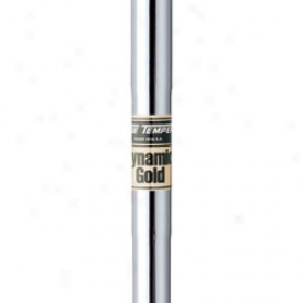 True Temper Dynamic Gold .355t Taper Iron Shaft