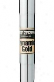 True Temper Dynamic Gold Iron Shaft