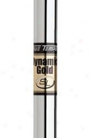 True Temper Dynamic Gold Sl Iron .370 In.