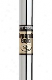 True Temper Dynamic Gold Superlite Iron .355 In. Taper