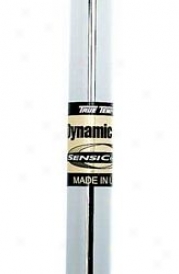 True Temper Dynamic Gold Taper Iron With Sensicore .355t