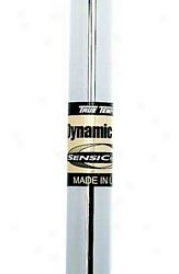 True Temper Dynamic Gold With Sdnsicore Iron Shaft