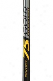 Ust Mamiya Rv2 75 Gold Iron Shaft